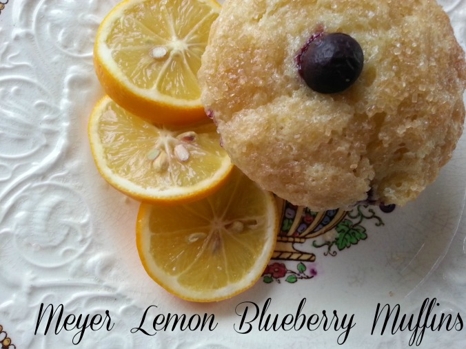 Meyer Lemon Blueberry Muffins | Dinner Is Served